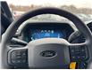 2025 Ford F-150 STX (Stk: FS61564) in Windsor - Image 23 of 26