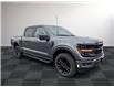 2025 Ford F-150 XLT (Stk: FS57813) in Windsor - Image 7 of 26