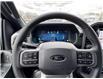 2025 Ford F-150 XLT (Stk: FS57813) in Windsor - Image 22 of 26