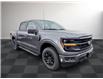 2025 Ford F-150 XLT (Stk: FS70022) in Windsor - Image 9 of 26