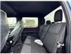 2025 Ford F-150 STX (Stk: FS63545) in Windsor - Image 11 of 25