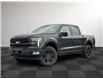 2025 Ford F-150 Platinum (Stk: FS45202) in Windsor - Image 1 of 28