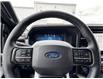 2025 Ford F-150 Platinum (Stk: FS45202) in Windsor - Image 22 of 28