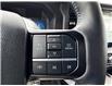 2025 Ford F-150 Platinum (Stk: FS45202) in Windsor - Image 24 of 28