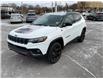 2023 Jeep Compass Trailhawk (Stk: 251392) in Kingston - Image 7 of 31