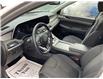 2022 Hyundai Palisade  (Stk: 251415) in Ottawa - Image 6 of 19