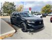 2024 Honda Pilot Black Edition (Stk: 9224A) in Ottawa - Image 4 of 31