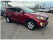2016 Kia Sorento 2.4L LX (Stk: PL3123-1) in Pembroke - Image 5 of 12