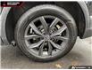 2024 Volkswagen Tiguan Comfortline (Stk: 142772) in North Vancouver - Image 6 of 23
