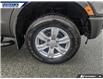 2019 Ford Ranger XLT (Stk: P6419) in Dartmouth - Image 6 of 24