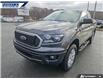 2019 Ford Ranger XLT (Stk: P6419) in Dartmouth - Image 7 of 24