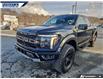 2025 Ford F-150 Raptor (Stk: P8087L) in Dartmouth - Image 7 of 24