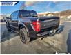 2025 Ford F-150 Raptor (Stk: P8087L) in Dartmouth - Image 9 of 24