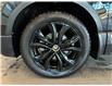 2022 Honda CR-V Black Edition (Stk: 250811A) in Mississauga - Image 17 of 18