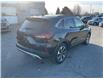 2023 Ford Escape Platinum (Stk: 251426) in Kingston - Image 3 of 33