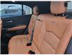2024 Cadillac XT4 Premium Luxury (Stk: 49420A) in Sudbury - Image 18 of 21 2024 Cadillac XT4 Premium Luxury (Stk: 49420A) in Sudbury - Image 18 of 21