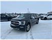2021 Ford F-150 Platinum (Stk: U65974) in Hague - Image 4 of 16
