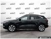 2025 Ford Escape Platinum (Stk: R0H2703) in Hamilton - Image 3 of 21