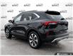 2025 Ford Escape Platinum (Stk: R0H2703) in Hamilton - Image 4 of 21