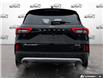 2025 Ford Escape Platinum (Stk: R0H2703) in Hamilton - Image 5 of 21