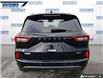 2023 Ford Escape ST-Line Elite (Stk: P9134L) in Dartmouth - Image 5 of 24