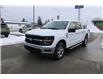 2024 Ford F-150 XLT (Stk: SC0235) in Cranbrook - Image 7 of 22