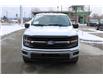 2024 Ford F-150 XLT (Stk: SC0235) in Cranbrook - Image 8 of 22