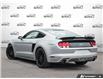 2017 Ford Mustang GT (Stk: 502669X) in St. Catharines - Image 4 of 23