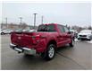 2025 Ford F-150 XLT (Stk: F1380) in Miramichi - Image 5 of 13