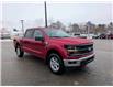 2025 Ford F-150 XLT (Stk: F1380) in Miramichi - Image 7 of 13
