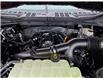 2025 Ford F-150 XLT (Stk: F1380) in Miramichi - Image 13 of 13