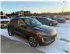 2020 Ford Escape Titanium Hybrid (Stk: 24707) in Pembroke - Image 8 of 33