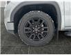 2024 GMC Sierra 1500 Elevation (Stk: P40397D) in Saskatoon - Image 15 of 15