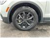 2024 Volkswagen Tiguan Comfortline (Stk: 251559) in Ottawa - Image 21 of 21