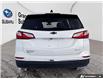2020 Chevrolet Equinox LT (Stk: PS2004) in Grande Prairie - Image 4 of 26