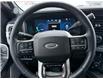 2026 Ford F-250 Platinum (Stk: 2026-31) in New Liskeard - Image 14 of 16