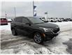 2025 Kia Seltos EX (Stk: 5P028) in Williams Lake - Image 7 of 13