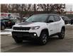 2022 Jeep Compass Trailhawk (Stk: SC0236) in Cranbrook - Image 8 of 30
