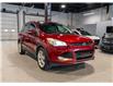 2014 Ford Escape Titanium (Stk: R68300) in Calgary - Image 3 of 24