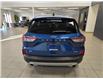 2022 Ford Escape SE (Stk: 22FE30238) in Winnipeg - Image 6 of 22