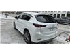 2024 Mazda CX-5 Signature (Stk: PM4497) in Ottawa - Image 4 of 26
