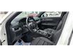2024 Mazda CX-5 Signature (Stk: PM4497) in Ottawa - Image 13 of 26