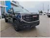 2026 GMC Sierra 1500 Pro (Stk: Z242479) in Newmarket - Image 3 of 20
