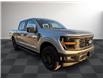2025 Ford F-150 STX (Stk: FS27432) in Windsor - Image 9 of 24