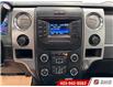 2013 Ford F-150  (Stk: 20290) in Lethbridge - Image 13 of 17