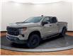 2023 Chevrolet Silverado 1500 Custom Trail Boss (Stk: 187798) in Lower Sackville - Image 1 of 22