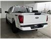 2025 Ford F-150 XLT (Stk: 25369) in Port Alberni - Image 6 of 26