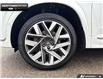 2022 Hyundai Santa Fe Ultimate Calligraphy (Stk: P11715) in Brantford - Image 6 of 22