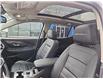 2024 GMC Terrain Denali (Stk: 5B084A) in Blenheim - Image 12 of 20 2024 GMC Terrain Denali (Stk: 5B084A) in Blenheim - Image 12 of 20