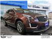 2023 Cadillac XT5 Premium Luxury (Stk: 139030) in Goderich - Image 5 of 26